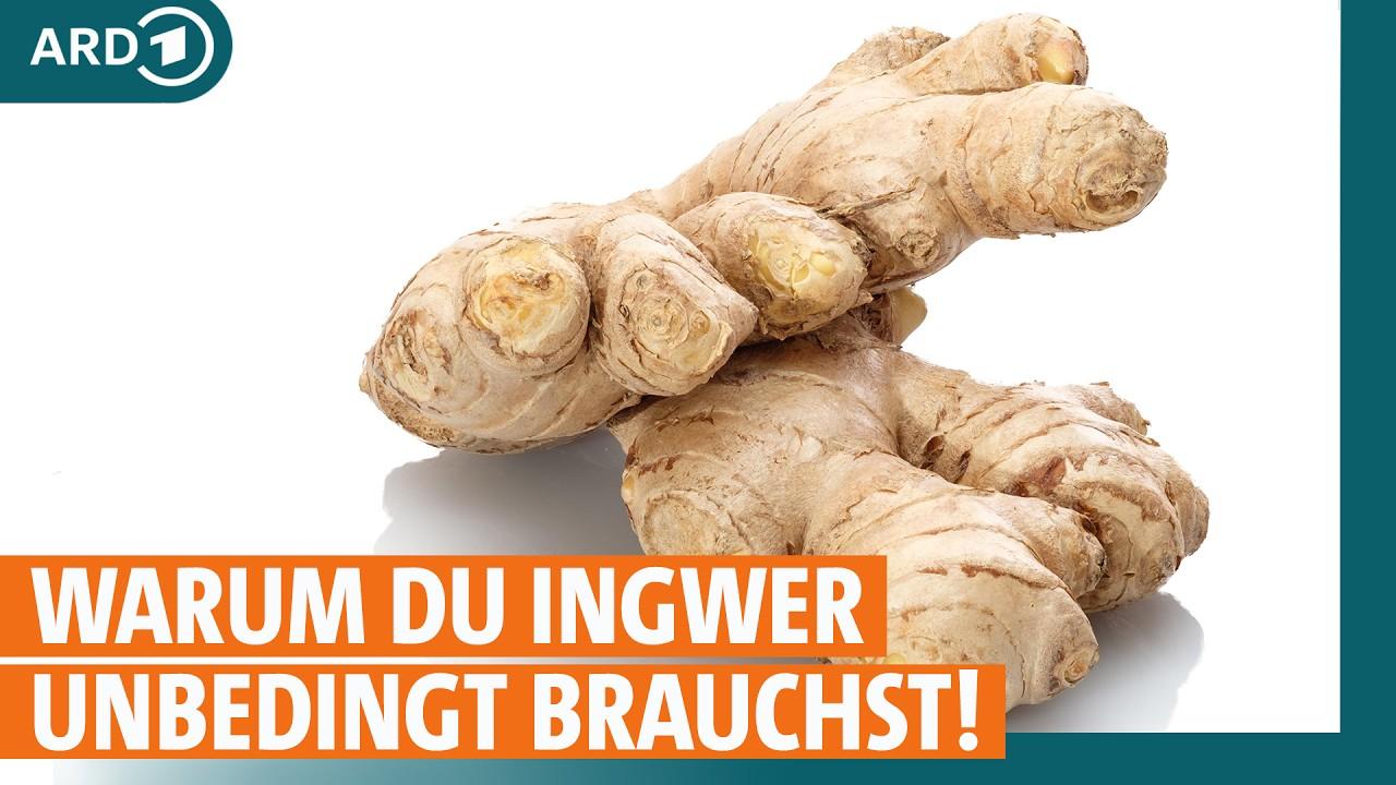 Ingo Rezept Drink: Was Hinter Dem Suchbegriff Steckt